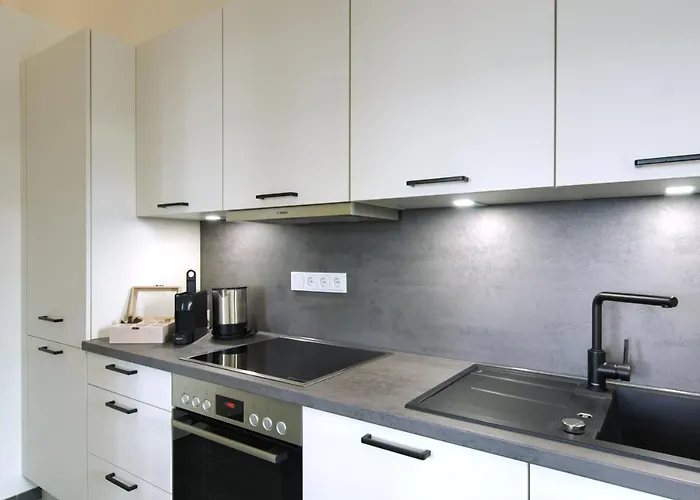 Apartment Vonbehling Boutique Apt. - Historisch Und Modern Wiesbaden